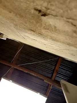 KruellaR1de3 online show from 01-08-26, 09:28