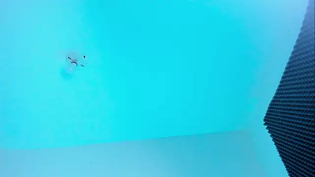 Snapshot of Im_naho chatting on 10-22-25, 11:04 Im naho online show from 10-22-25, 11:04