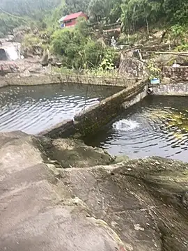 PhanHaa online show from 11-10-25, 09:30