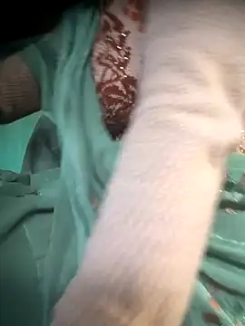 cut renukadevi online show from 12-17-25, 01:55