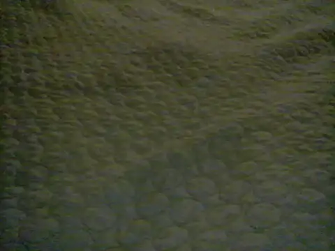 Snapshot of SelenaPromes chatting on 09-17-25, 09:38 SelenaPromes online show from 09-17-25, 09:38