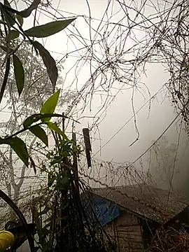 quynhkoolbae online show from 02-28-26, 12:44