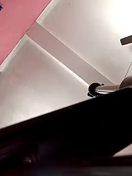 Snapshot of Panchi2 chatting on 11-12-25, 04:13 Panchi2 online show from 11-12-25, 04:13