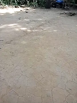 Pinki bhabi 2002 online show from 11-20-25, 06:35