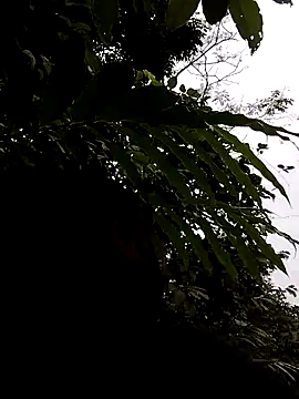 linda bae00 online show from 11-05-25, 01:16