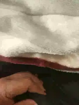 mM0140 online show from 01-13-26, 08:30