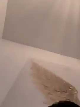 purofuego6 online show from 11-08-25, 08:40