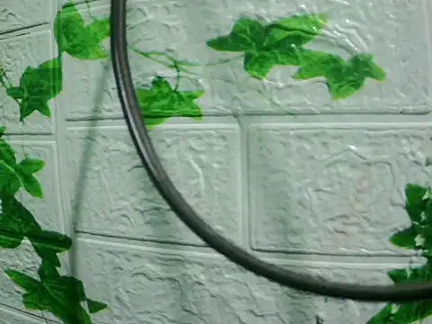 daros453 online show from 11-03-25, 02:13