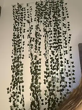 butterfly777  online show from 01-11-26, 08:41