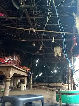 cute diya 12 online show from 12-17-25, 03:01