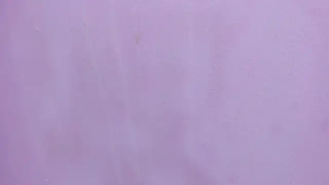 Snapshot of scarlett646 chatting on 02-28-26, 03:07 scarlett646 online show from 02-28-26, 03:07