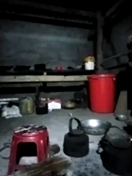 venu00 online show from 02-08-26, 02:31