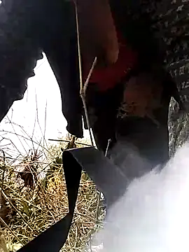 venu00 online show from 03-25-26, 05:24