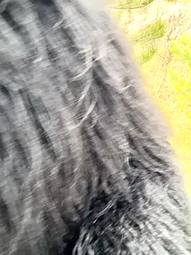 desiredude9 online show from 11-01-25, 07:10