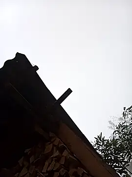 Ngocmi909 online show from 01-16-26, 12:58