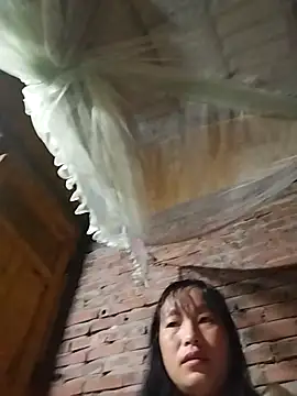 miss-su online show from 11-05-25, 06:19