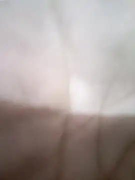 KitedSeizure online show from 01-17-26, 06:18