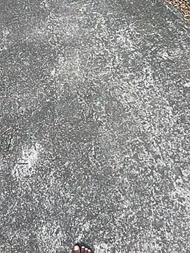 Senurak99 online show from 11-16-25, 07:03