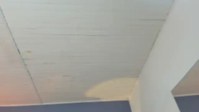 Snapshot of BellaBoobs_ chatting on 10-03-25, 07:44 BellaBoobs online show from 10-03-25, 07:44