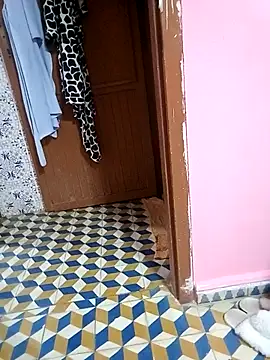 Mayamimi online show from 11-08-25, 09:31