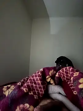 bomcasal online show from 02-17-26, 11:00