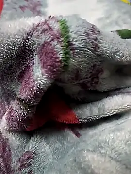 BzzDihh online show from 11-23-25, 06:19