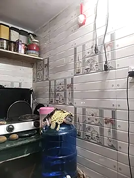 Snapshot of meenu_bhabhi547 chatting on 04-15-26, 01:56 meenu bhabhi547 online show from 04-15-26, 01:56