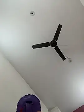 Appypie online show from 01-11-26, 06:35