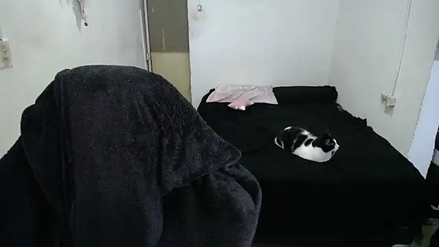 Snapshot of Amber09raiden chatting on 10-31-25, 05:03 Amber09raiden online show from 10-31-25, 05:03