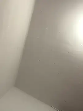 davidxxx099 online show from 11-22-25, 10:31