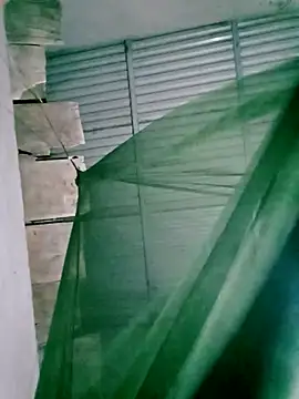 Lisa pusy online show from 11-14-25, 12:48