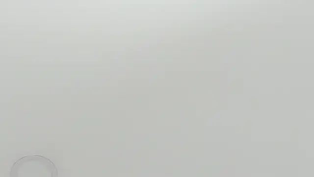 Snapshot of scarletross_ chatting on 02-26-26, 02:38 scarletross online show from 02-26-26, 02:38