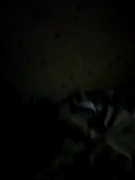 Snapshot of IncompatibleBean41 chatting on 09-20-25, 12:17 IncompatibleBean41 online show from 09-20-25, 12:17