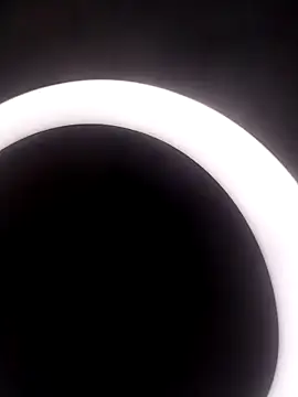 Merlylee online show from 10-15-25, 09:37