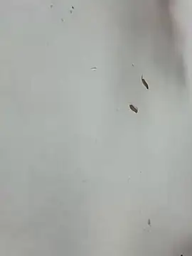 Baby-mmm online show from 01-10-26, 05:20