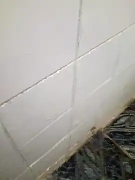 kelvinjesus34 online show from 10-19-25, 06:36