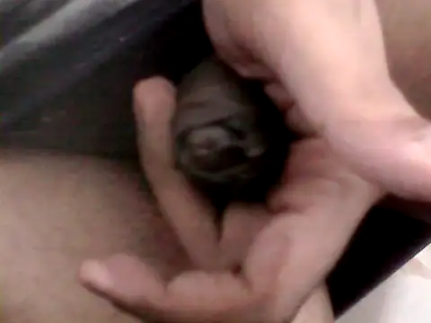 Snapshot of Bakasur_19 chatting on 10-09-25, 03:32 Bakasur 19 online show from 10-09-25, 03:32