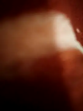 sexy  girls98 online show from 11-08-25, 11:47