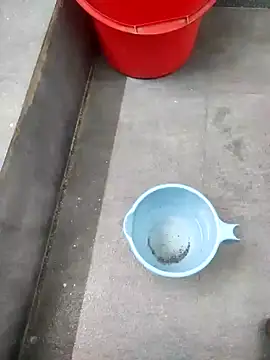 Yourminal online show from 10-23-25, 07:56