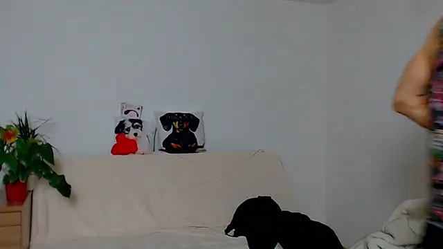 ZeinMiracles online show from 11-29-25, 08:23