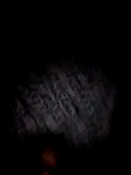 bajoderx585Oregano online show from 11-17-25, 08:25