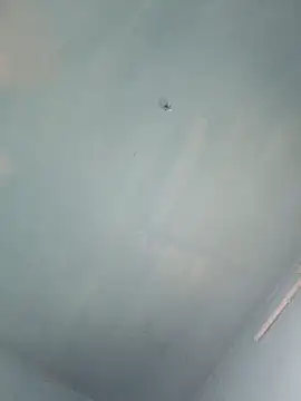 xyz-indian online show from 10-05-25, 10:02