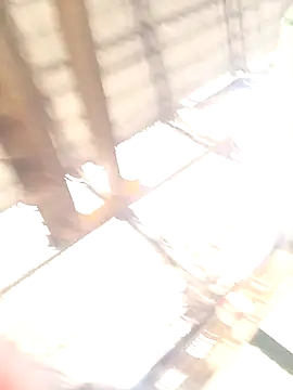 xyz-indian online show from 10-11-25, 03:50