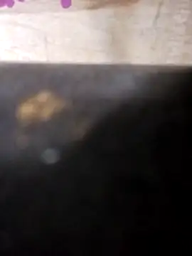 Jeremycle online show from 10-25-25, 11:21