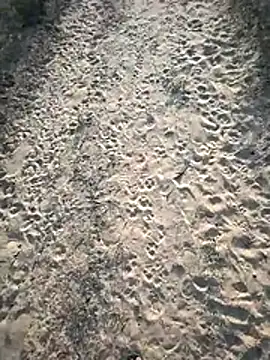 Snapshot of SmartLoda143 chatting on 11-19-25, 11:10 SmartLoda143 online show from 11-19-25, 11:10