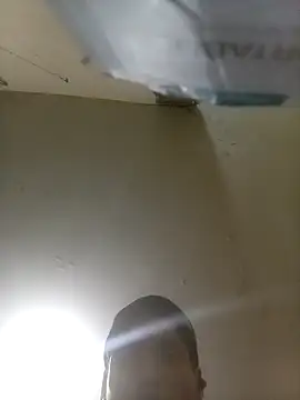 Bebicho14 online show from 09-14-25, 07:51