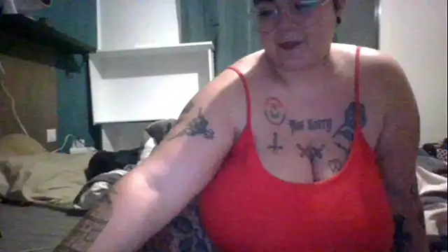 PirateXL online show from 03-05-26, 11:34