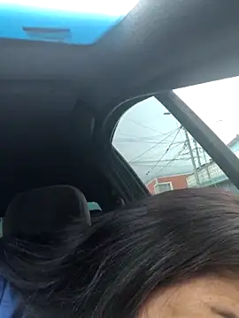 MAFE  29 online show from 12-21-25, 12:34