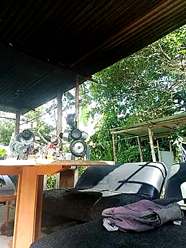 AlphaAlterX online show from 12-18-25, 02:34