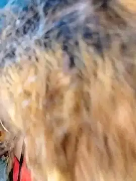 Snapshot of hemilynthomas2467 chatting on 02-01-26, 07:23 hemilynthomas2467 online show from 02-01-26, 07:23